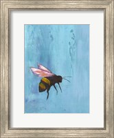 Framed Pollinators I