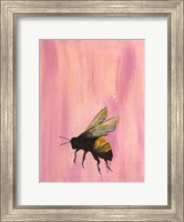 Framed Pollinators II