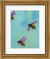 Framed Pollinators III