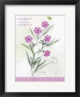 Flower Study on Lace III Framed Print