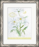 Framed Flower Study on Lace X