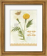 Framed Flower Study on Lace XI