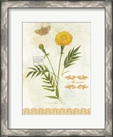 Framed Flower Study on Lace XI