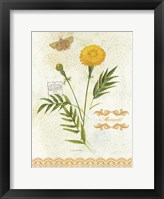 Flower Study on Lace XI Framed Print