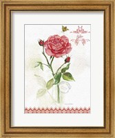 Framed Flower Study on Lace XIII