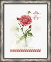 Framed Flower Study on Lace XIII