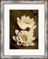 Framed Lily Pad Duo
