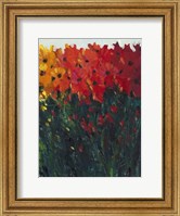 Framed Color Spectrum Flowers I