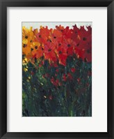 Color Spectrum Flowers I Framed Print