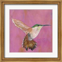 Framed Sweet Hummingbird I