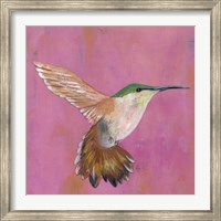 Framed Sweet Hummingbird I