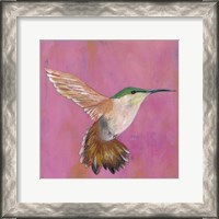 Framed Sweet Hummingbird I