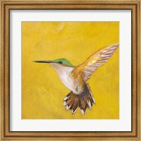 Framed Sweet Hummingbird II