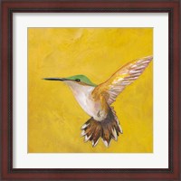 Framed Sweet Hummingbird II
