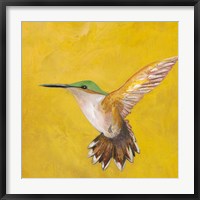 Framed Sweet Hummingbird II