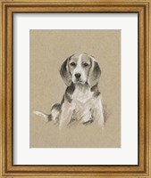 Framed Breed Sketches I