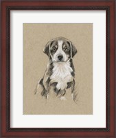 Framed Breed Sketches II