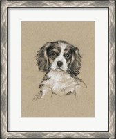 Framed Breed Sketches III