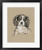 Framed Breed Sketches III