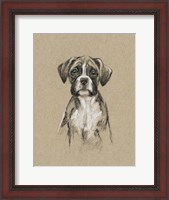 Framed Breed Sketches V