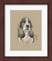 Framed Breed Sketches VI