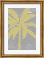 Framed Chromatic Palms III