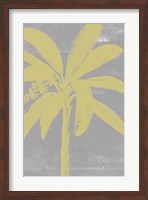 Framed Chromatic Palms III