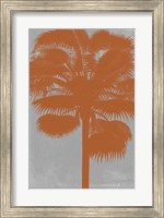 Framed Chromatic Palms IV