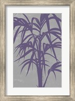 Framed Chromatic Palms V
