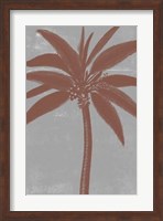 Framed Chromatic Palms VII