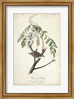 Framed Delicate Bird and Botanical I