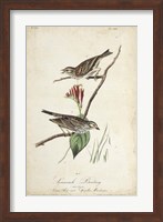 Framed Delicate Bird and Botanical III