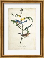 Framed Delicate Bird and Botanical IV
