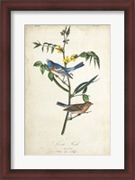 Framed Delicate Bird and Botanical IV