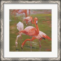 Framed Flamingo I