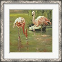 Framed Flamingo II