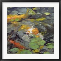 Golden Koi Framed Print