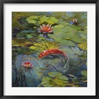 Vermillion Koi Framed Print