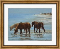 Framed Chincoteague Ponies