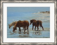 Framed Chincoteague Ponies