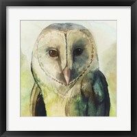 Harlequin Hibou I Framed Print