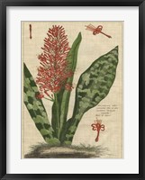 Botanical Study on Linen I Framed Print