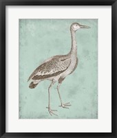 Framed Sepia & Spa Heron I