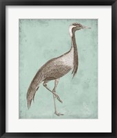 Sepia & Spa Heron III Framed Print