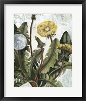 Dandelion Patina I Framed Print