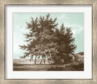 Framed Serene Trees IV