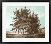 Serene Trees IV Framed Print