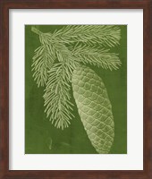 Framed Modern Pine IV