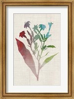 Framed Watercolor Plants II