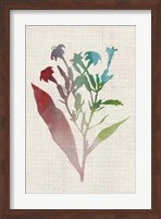 Framed Watercolor Plants II